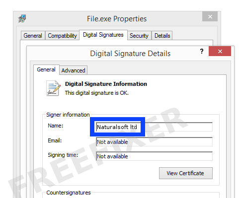 Screenshot of the Naturalsoft ltd certificate